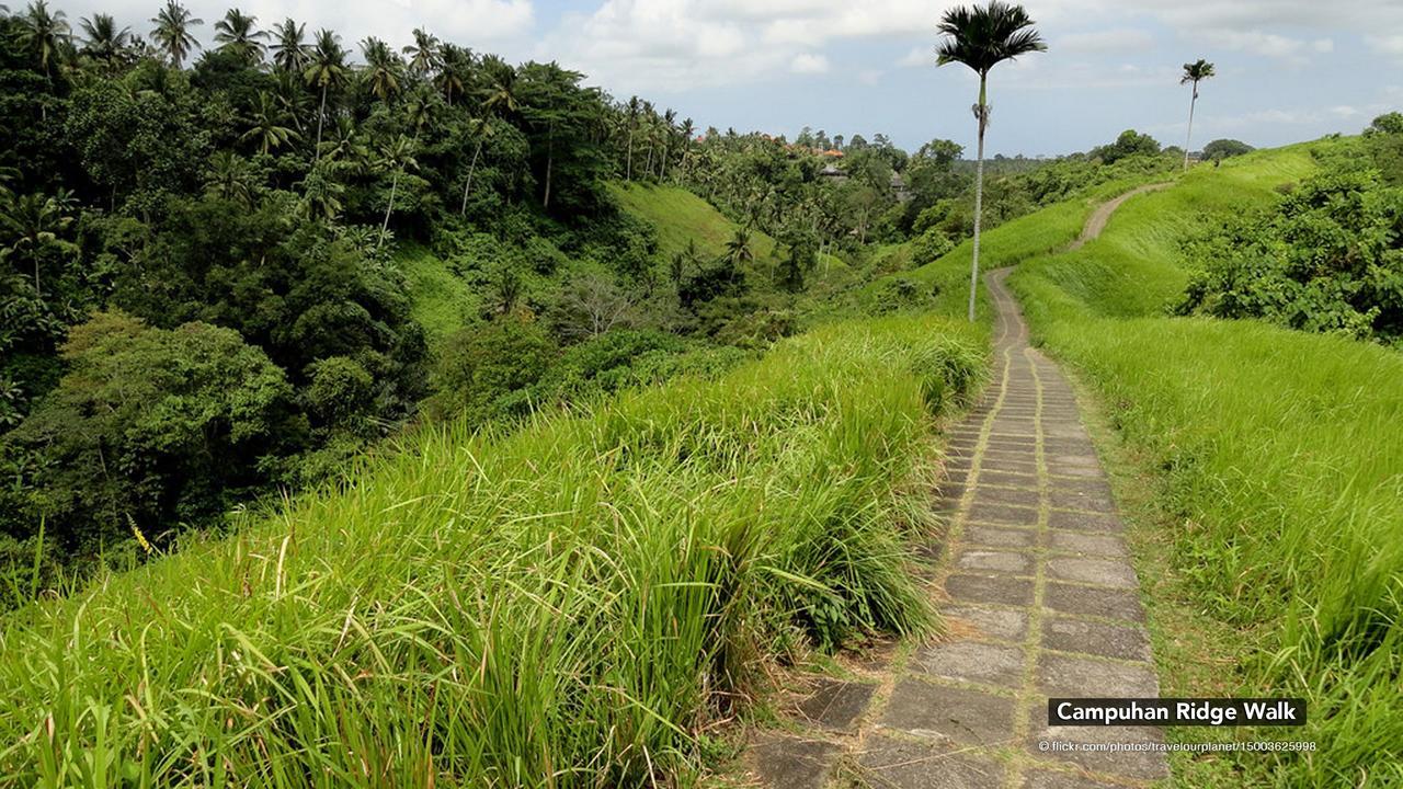 Zen Premium Nyuh Bojog Ubud Zewnętrze zdjęcie